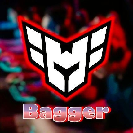 BaggerX