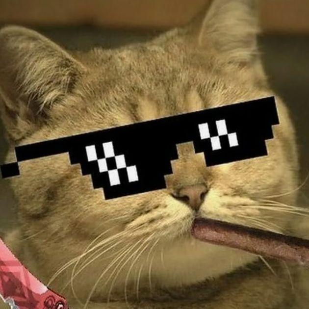 zmidn1ght avatar