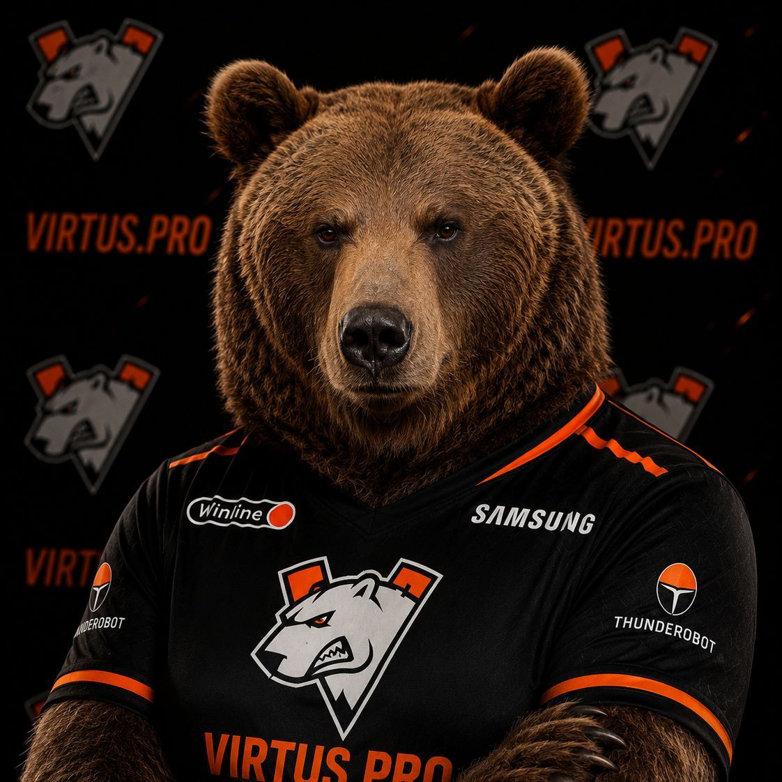 NiedViedz FACEIT avatar