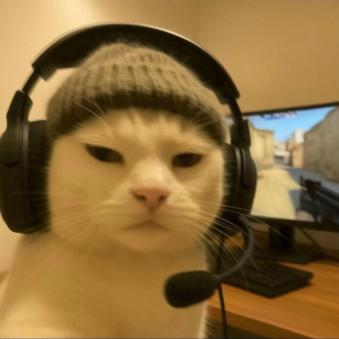 Vovan_pro