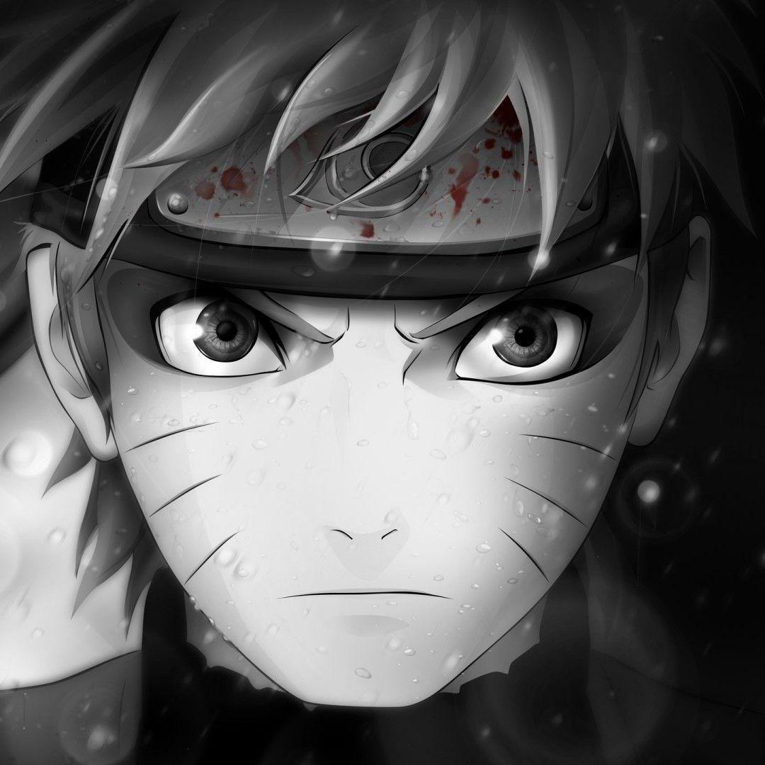 vioua123 avatar