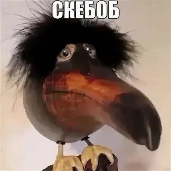 chpop1k avatar