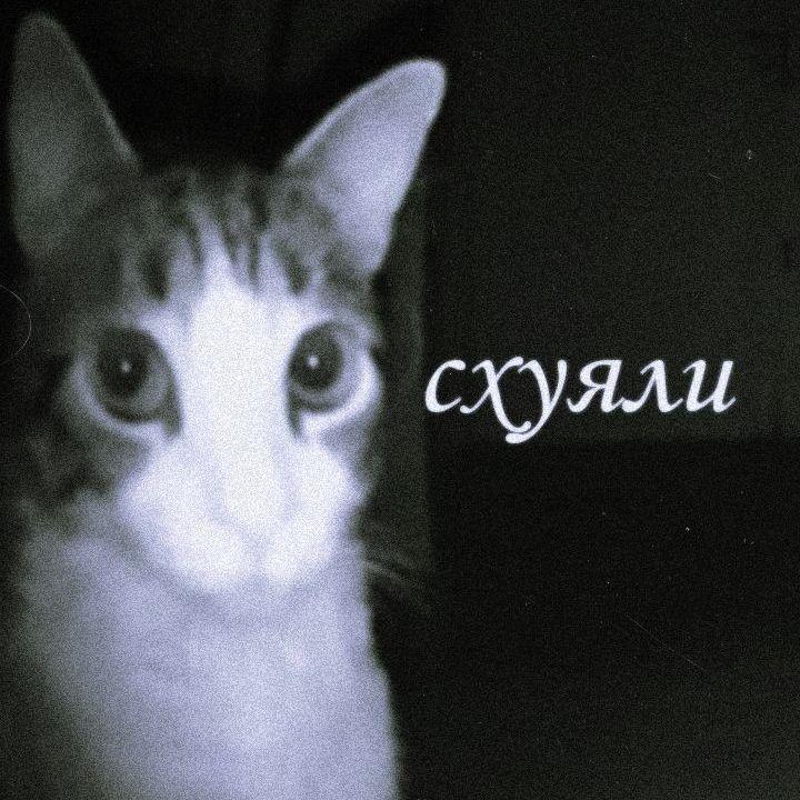 LvFFik avatar