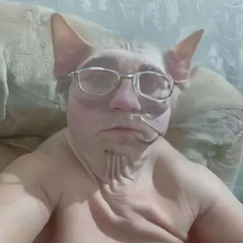 GumowyKutas
