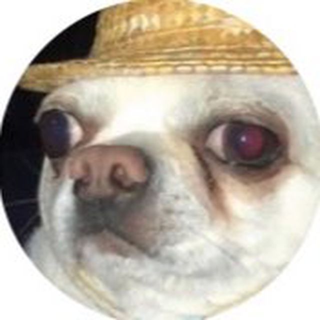 chichi1337