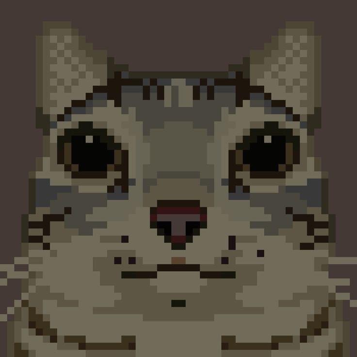 pi_x_el avatar