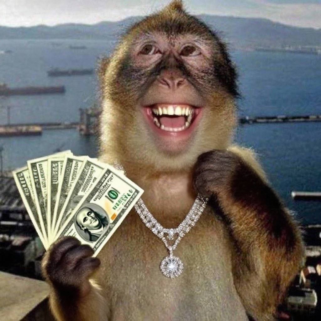Swizzy2x