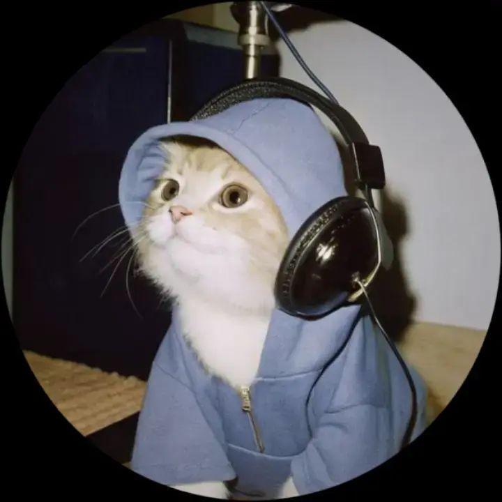 KSPz avatar