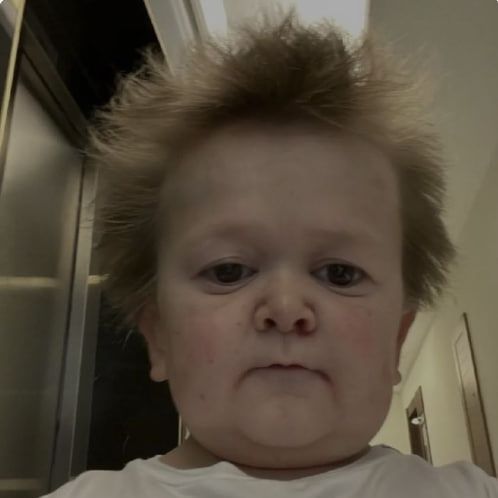 SkyzzzeR FACEIT avatar