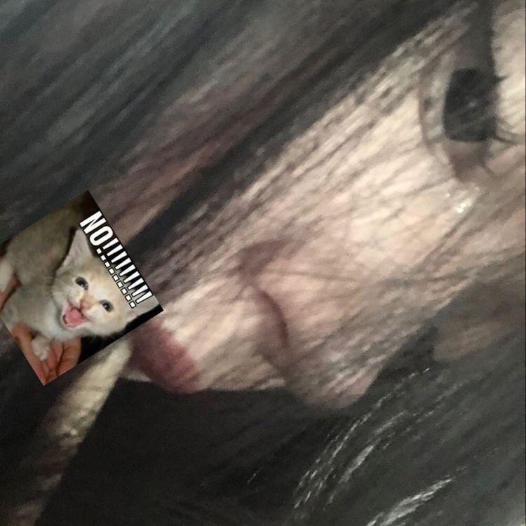 Mainasu-