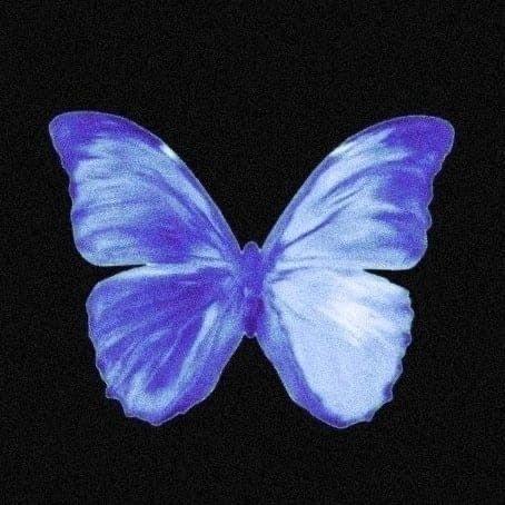 m0untaln avatar