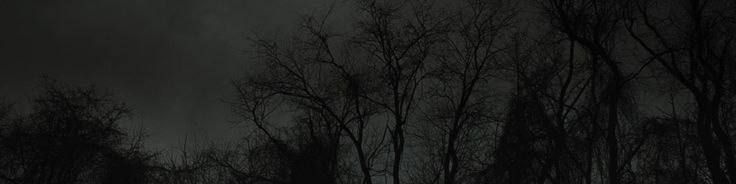 Faceit banner for @fending