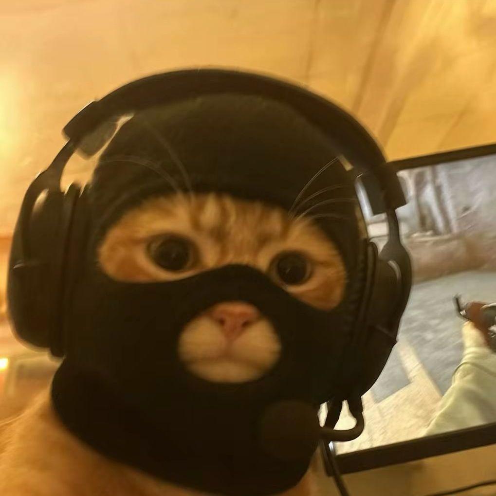 0XON avatar