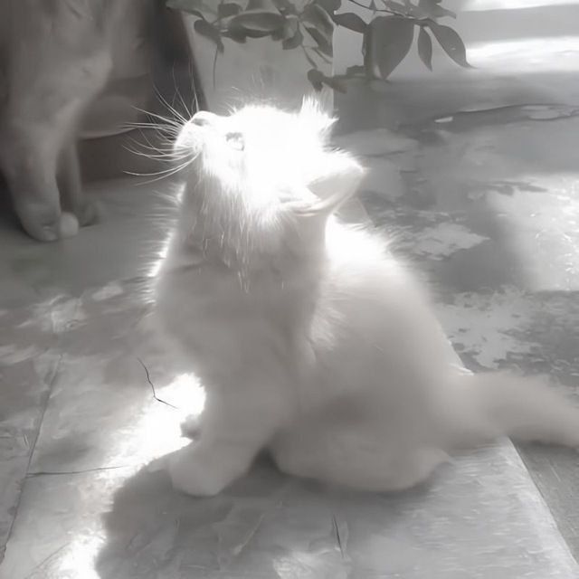 ma1ge