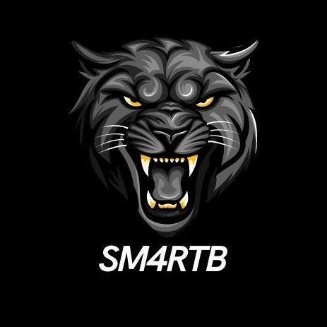 Player Sm4rtB avatar