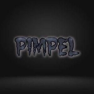 PimpelPL avatar