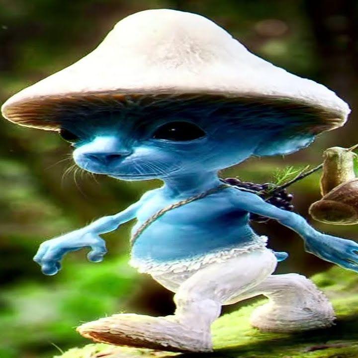 Nakhnar avatar
