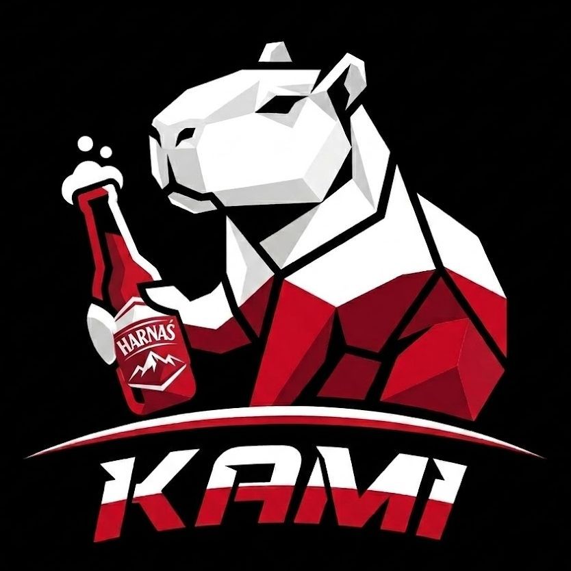 team_Kami_