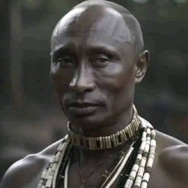 BudaMode