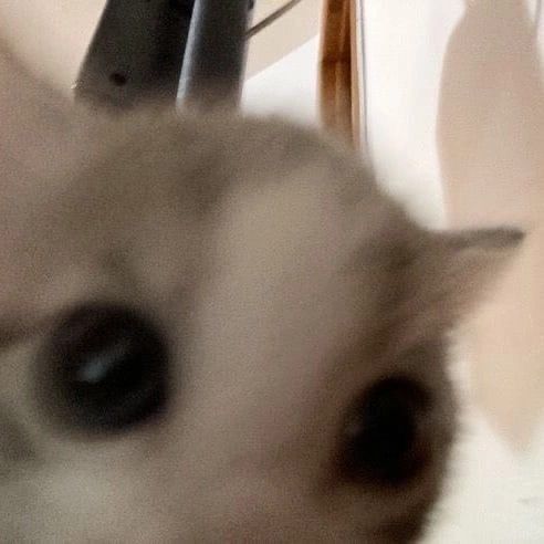 olivia-
