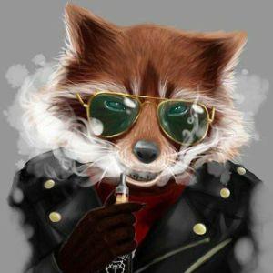karas1k avatar