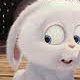 _aluncute_