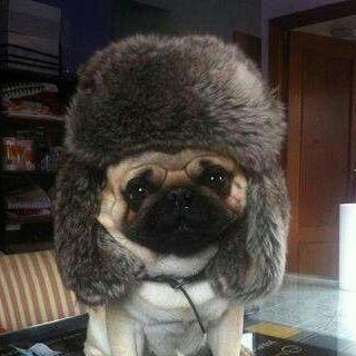 zarubinz1337 avatar