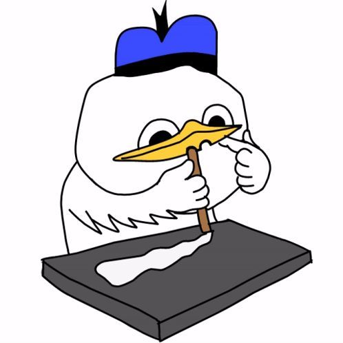 ahmed0rutin avatar