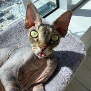 sIeepy-