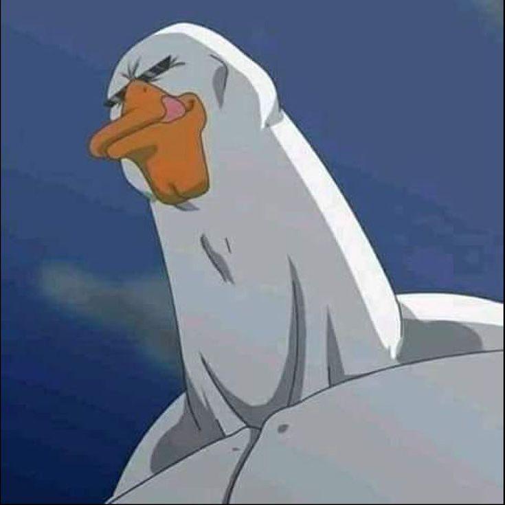AgroDrift avatar