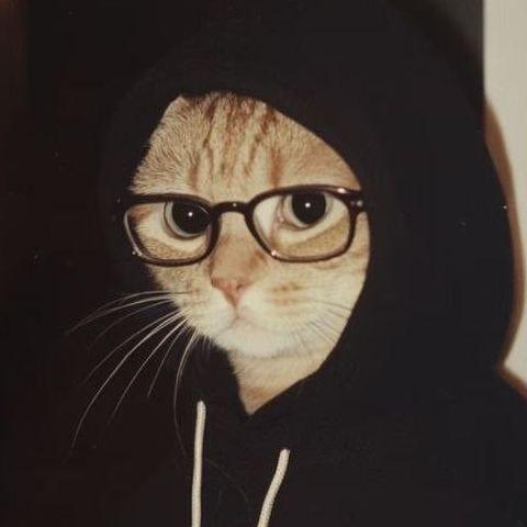 the_n0thing avatar