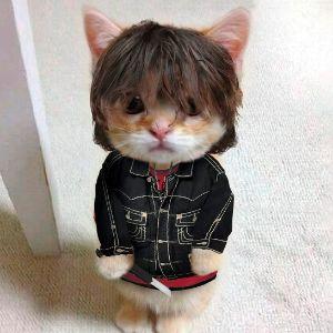 xYoungster avatar