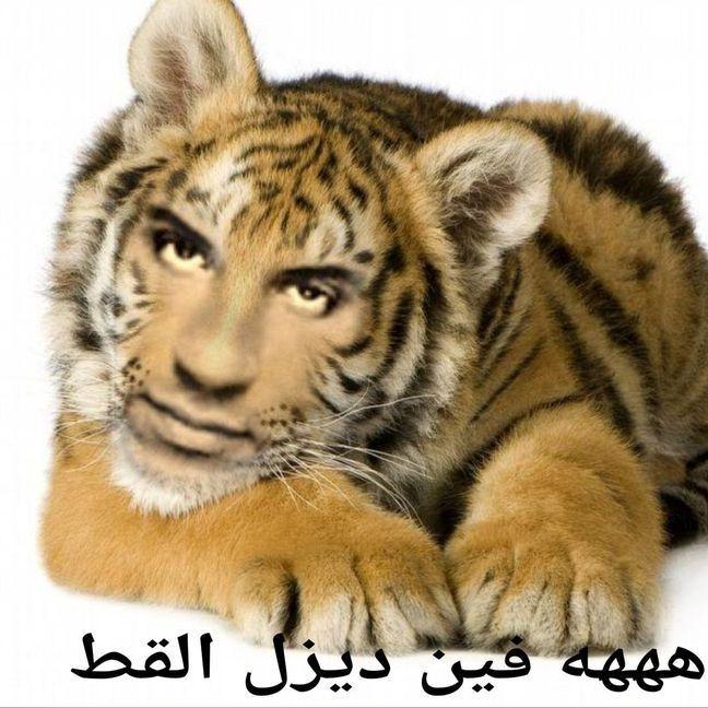 pacyl44ik avatar