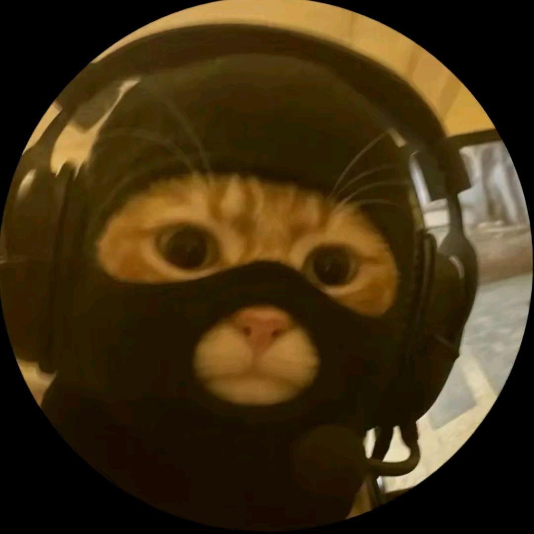 SenorFHAT avatar
