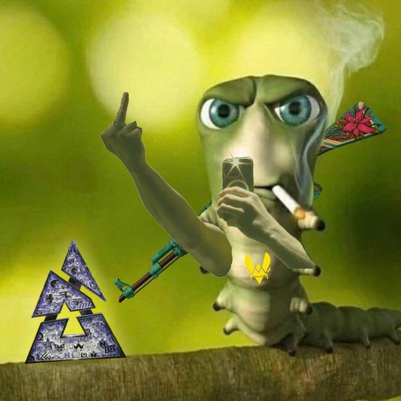 ErwanJaeger avatar