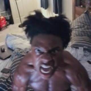 gandonk441 avatar