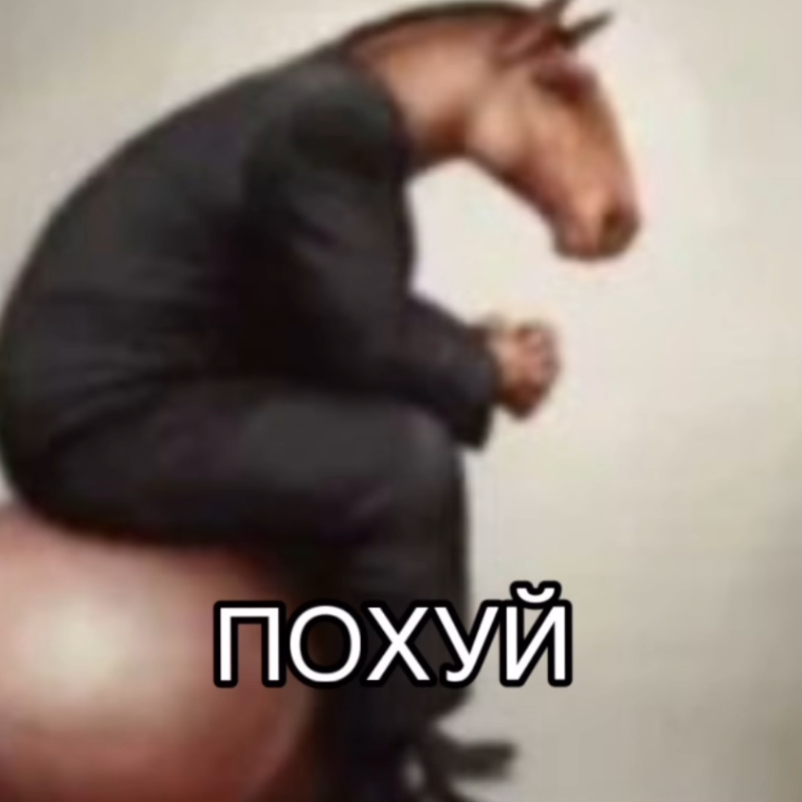 vanDolar