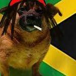 MrHaper420 avatar