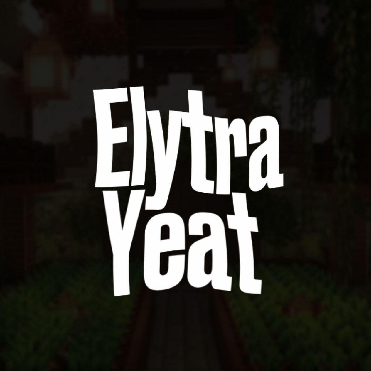 ElytraYeat avatar