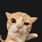 MewMewPuke
