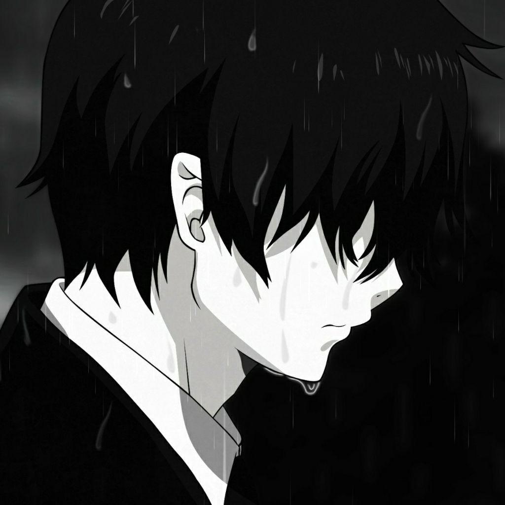 Ibra_Fox avatar