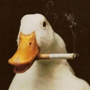 Dev1d0 avatar
