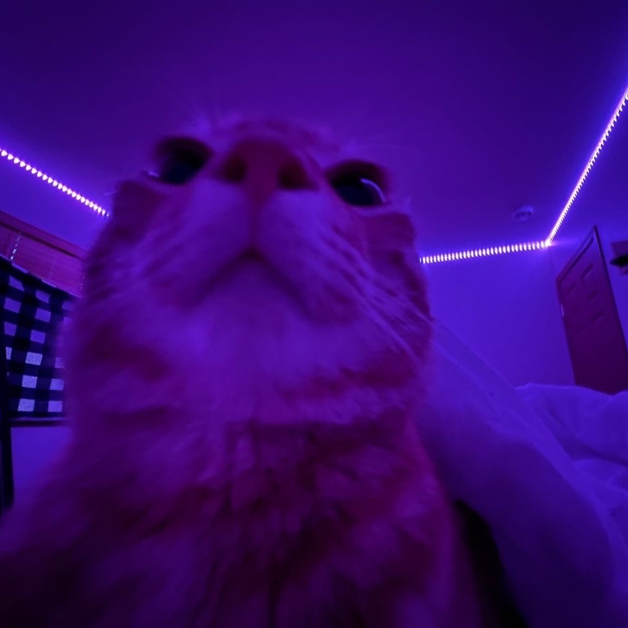 qukzi