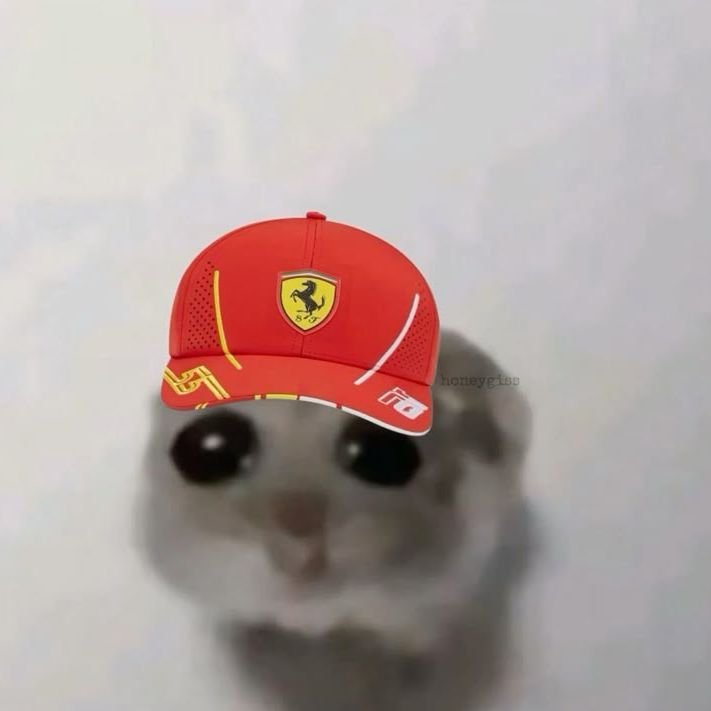 team_Avemyuo
