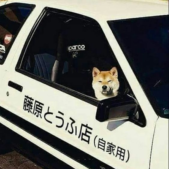servicer