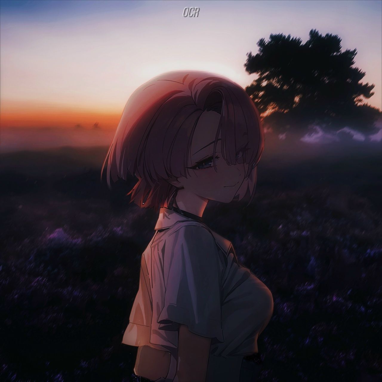team_Anku_cry