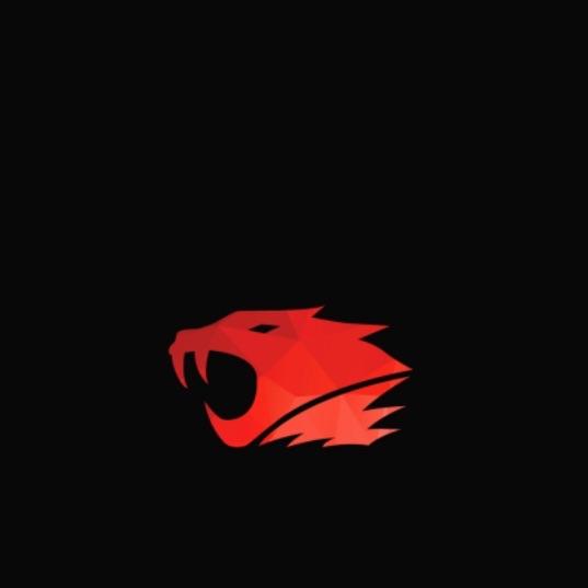 -kopa avatar