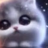 akkori