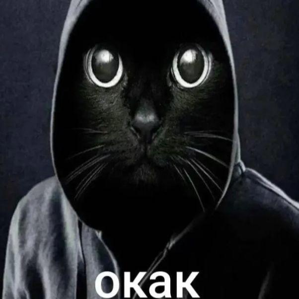 kenob1 avatar
