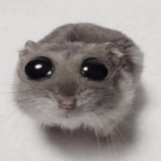 1emptiness avatar